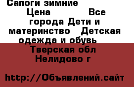 Сапоги зимние Skandia Tex › Цена ­ 1 200 - Все города Дети и материнство » Детская одежда и обувь   . Тверская обл.,Нелидово г.